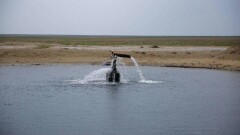 Только два источника пресной воды пригодны для питья в Атырауской области