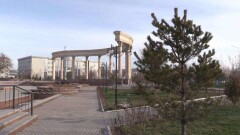 В Шымкенте распустились почки на деревьях и зацвели одуванчики