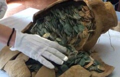 Клад на несколько миллионов евро нашли испанские водопроводчики