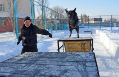 Лучшие служебные собаки представят Казахстан в международном конкурсе