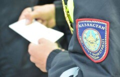 Сотрудники ДВД установили личности подравшихся в Астане женщин