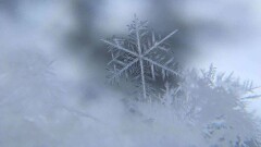 Погода с осадками ожидается на большей части страны 3 ноября