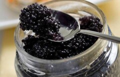 Чёрной икрой кормят казахстанских борцов перед Олимпиадой в Рио 