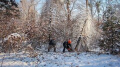 "Талаптардың орындалуын бақылау әлсіз". Алматылықтардың эко құқығы қалай қорғалған?