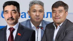 Политики высказались о предложении создать однопалатный парламент в Казахстане