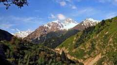 В Иле-Алатауском нацпарке начали взимать плату за фото- и видеосъёмку