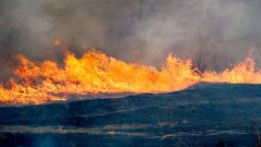 Близ нефтяного месторождения Алибек мола полыхает степь