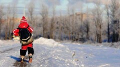 В Астане отменили занятия ученикам начальной школы второй смены