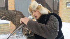 Сотрудник "Астана су арнасы" рассказал об увлечении казахской охотой с беркутом в городских условиях