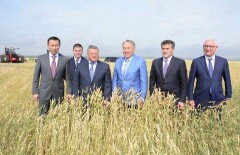 Хватит в колхозниках ходить! - считает Президент Казахстана