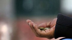 Большинство казахстанцев участвуют в благотворительности, подавая милостыню 