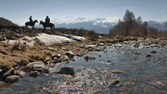 Егерям и лесникам повысят оклады на 25% с 2019 года