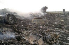Совет безопасности Нидерландов назвал свою версию крушения Boeing под Донбассом
