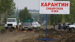 360 захоронений сибирской язвы пока не обнаружили в Казахстане