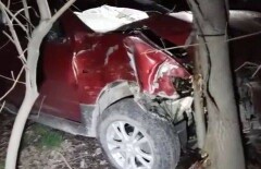 В Алматы водитель впал в кому после столкновения авто с деревом