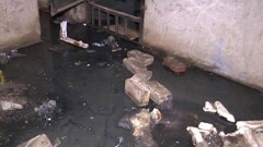 В Уральске жилая пятиэтажка тонет в фекалиях