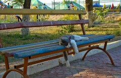 Житель Атырау готов на личные средства реставрировать городской парк