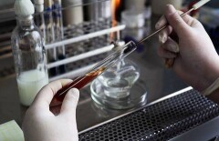 Кишечная палочка обнаружена в молочной продукции магазинов Алматы и Астаны