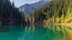 Автодорогу к озеру Кольсай открыли после ремонта