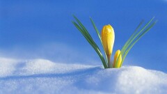 Две волны похолодания прогнозирует Казгидромет в феврале