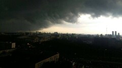 Четыре человека погибли из-за шторма в московском регионе