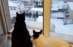 Актаусцы в ужасе от снежного фарша на дорогах