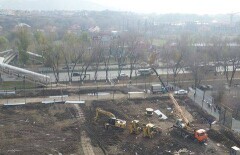 Застройщик АЗС в Академгородке Алматы заплатил деньги за вырубку деревьев 