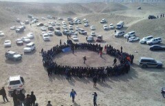 Шокирующее видео собачьих боёв в Мангистауской области попало в Сеть