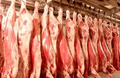 В Аягозе построят мясокомбинат за 10 миллиардов тенге