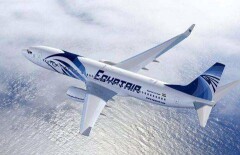Ложный сигнал о задымлении мог стать причиной крушения египетского лайнера A320