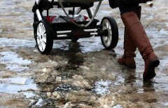 Из-за аномального тепла в Москве закрылись катки и зацвела верба