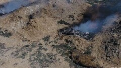 В Мангистау сжигают останки тюленей, найденные на побережье Каспия