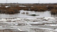 Паводок в ВКО: чиновникам напомнили об уголовной ответственности за халатность
