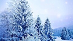 Морозная погода без осадков ожидается 5 декабря