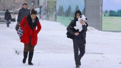 Өз жерінде өгей баланың күйін кешу немесе "жаман үйдің" балалары