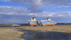 Страны ЦА уговаривают Кыргызстан разморозить участие в Фонде спасения Арала