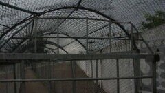 В Правительстве отказались от строительства новых тюрем из-за дороговизны проектов