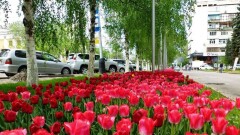 Прогноз погоды на 3 мая: на большей части территории страны без осадков