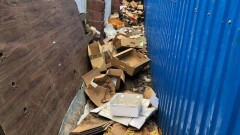 Алматинцев оштрафовали на 97,5 млн тенге за вырубку деревьев и загрязнение территории 