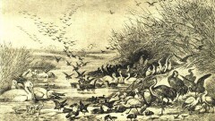 Зачем Казахстану был нужен гигантский заповедник вокруг восьми озёр