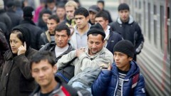 49 афганцев пытались получить статус оралманов, чтобы попасть в Казахстан