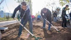 Мажилисмены посадили деревья вдоль нового проспекта в Астане