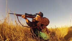 В четырёх областях Казахстана введут двухлетний мораторий на отстрел волков