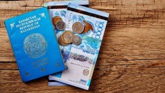 Жеке куәлік пен паспортты кім және қалай тегін жасата алады?