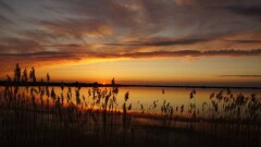 Озёра Казахстана: те, что вчера усыхали, завтра вновь наполнятся водой
