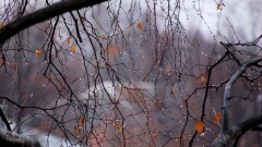 Прогноз погоды на понедельник, 11 сентября