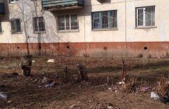 В Павлодаре оштрафованы 35 КСК