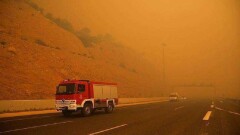 Число жертв лесных пожаров в Греции возросло до 87 человек