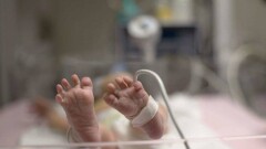 Пострадавшего в ДТП на ВОАД ребёнка перевели в палату, преступника ещё не нашли