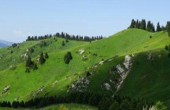 Кто отменил приговор Кок-Жайляу?